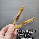 오징어파는언니 이미지