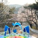 가락로63번길 이미지