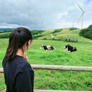 해영목장 이미지