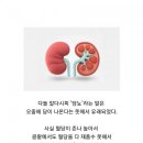 최근 많이 처방되고있는 당뇨 신약 이미지