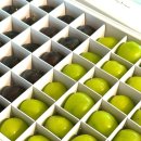 경운농장 이미지