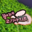 경안동-11 이미지