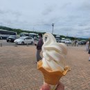 (유)동일에너지 | ​[나고야 여행] 유투어버스 다카야마 시라카와고 1일 버스투어 대만족 내돈내산 상세 후기