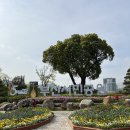 부산시민공원 카페테리아 | 부산시민공원 부산 봄꽃 전시회 다녀온 후기