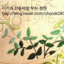 프랑스 자수(야간) 이미지