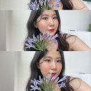 그리고알리스