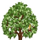 나무(플로터 출력용) 이미지