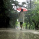 하늘아래 발효농장 이미지