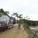 j제이펜션 이미지