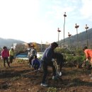 보리마당협동조합 이미지