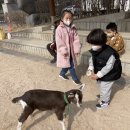 산양병설유치원 이미지