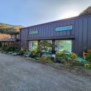 겨자씨 1농장 이미지