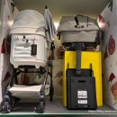 호수펫 | 펫워크 강아지유모차전문매장에서 로얄테일즈 글로리아 체험 시승후기