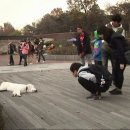 종일농장 이미지