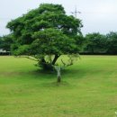 온평리(혼인지마을)농촌체험휴양마을 이미지