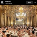 봄날의 강아지 이미지