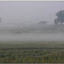 여명목장2 이미지