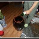 미자농장 이미지