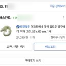 아꼬모 베베