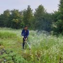 대장이랜드마을 이미지