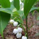 사리마을회관 이미지