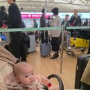 중부-현장-중부-301 | D+301 아기와 오키나와 5박 6일-1일차 (아기 기내식, 아기 요람석, 렌트카, 오키나와소바, 북부로 이동)