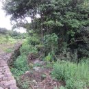 신풍리 사무소 이미지