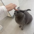 애니살롱 1호점 | 수원 성균관대역 미용실 테이살롱에서 가을 염색한 후기