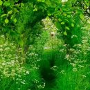 금구농장 이미지