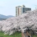 나눌터(주) 네이버블로그