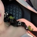 진진토탈 이미지