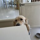 돈삼식당 이미지