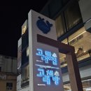 강릉 뚜벅이 여행으로 다녀오기 좋은 독립서점 내돈내산 후기 : 고래책방