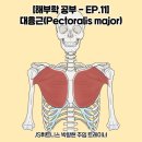 동배마을길 이미지