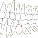 뿌리치과의원 이미지