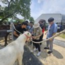 성분도복지관 이미지