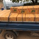 북두농장 이미지