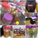 속리산 휴양센터 이미지