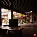 나무향기 한증막 이미지