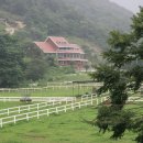 연천승마공원 이미지