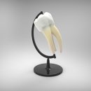 강서예치과의원 이미지