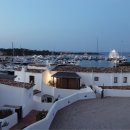 CERVO
