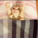 프롬에이치 이미지