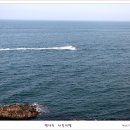 동백섬 이미지