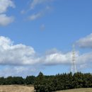 대동목장 | 제주 성이시돌목장 목장카페 우유부단 아기랑 가볼만한곳