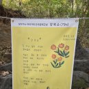 찾아가는 아라가야 문해교실 | 함안 입곡군립공원 단풍놀이 경남 아이와 가볼만한곳 나들이