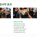 한국춤하나문화진흥회 이미지