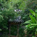 중암사지 팔각부도(중암사지 승탑) | 동화사 금당암