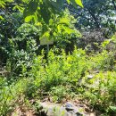 다송초등학교 이미지