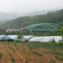 코코농장 2 이미지